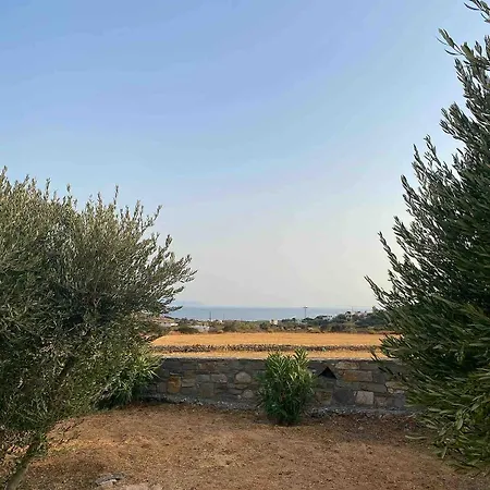 Lizzy's Escape 1st Floor *